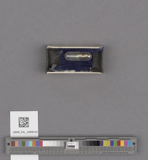 NSF ADBC EPICC TCN