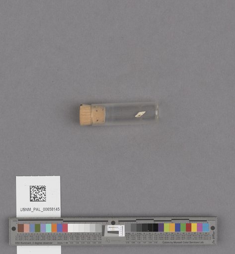 NSF ADBC EPICC TCN