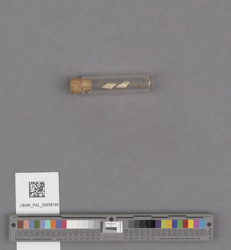 NSF ADBC EPICC TCN