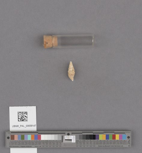 NSF ADBC EPICC TCN