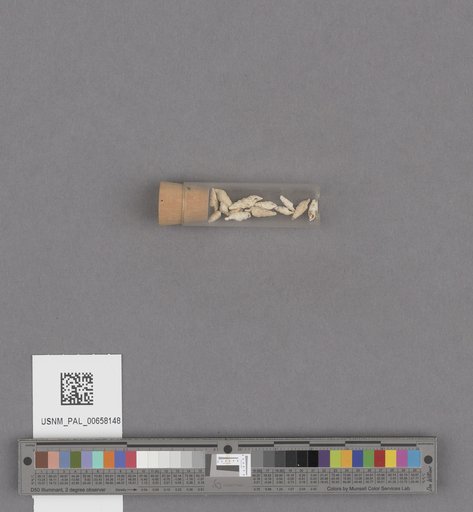 NSF ADBC EPICC TCN