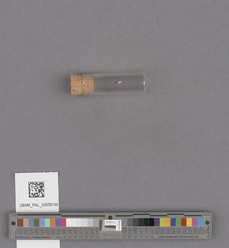 NSF ADBC EPICC TCN