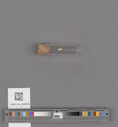 NSF ADBC EPICC TCN