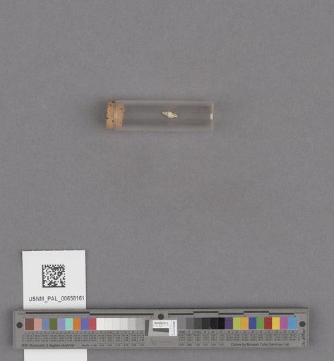 NSF ADBC EPICC TCN