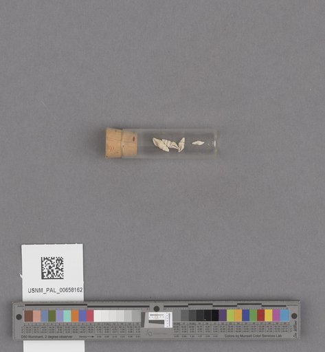 NSF ADBC EPICC TCN