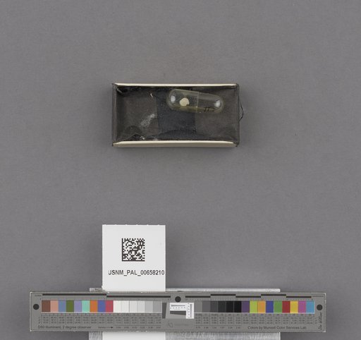 NSF ADBC EPICC TCN