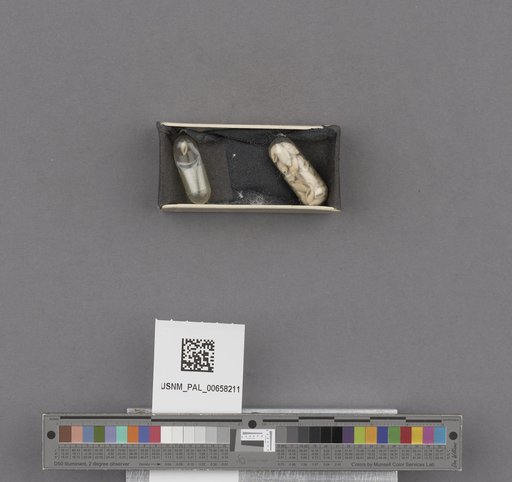 NSF ADBC EPICC TCN