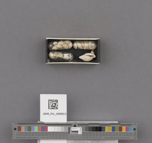 NSF ADBC EPICC TCN
