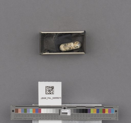 NSF ADBC EPICC TCN