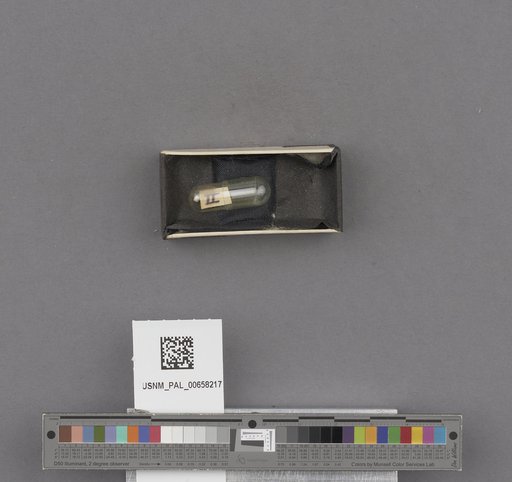NSF ADBC EPICC TCN