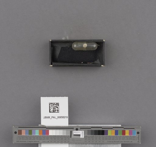 NSF ADBC EPICC TCN