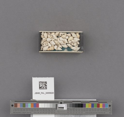 NSF ADBC EPICC TCN