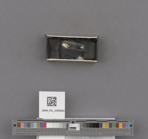 NSF ADBC EPICC TCN