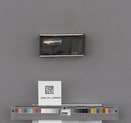 NSF ADBC EPICC TCN