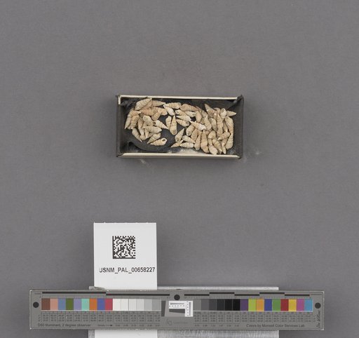 NSF ADBC EPICC TCN