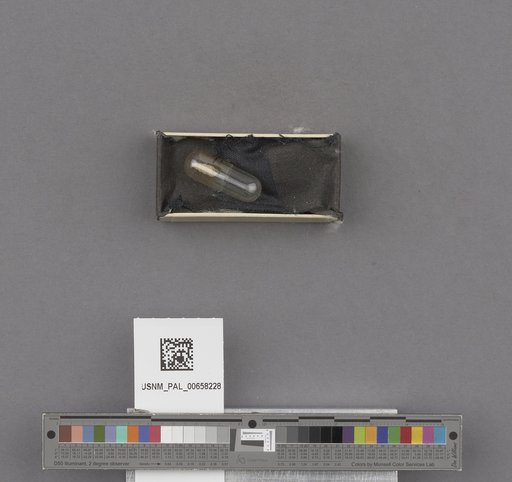NSF ADBC EPICC TCN