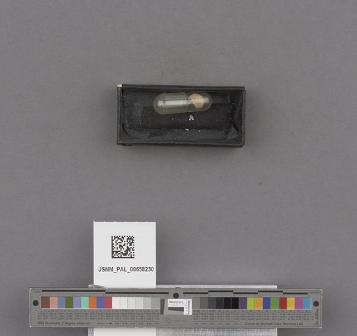 NSF ADBC EPICC TCN