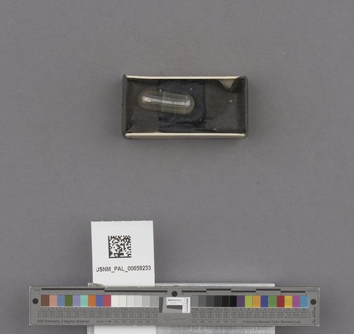 NSF ADBC EPICC TCN
