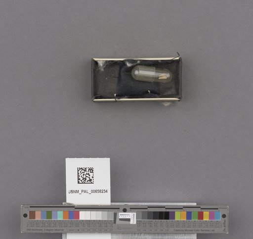 NSF ADBC EPICC TCN
