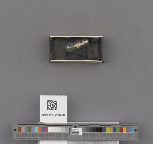 NSF ADBC EPICC TCN