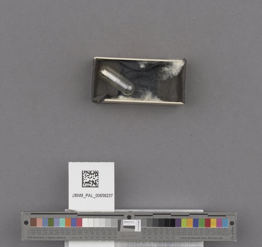 NSF ADBC EPICC TCN