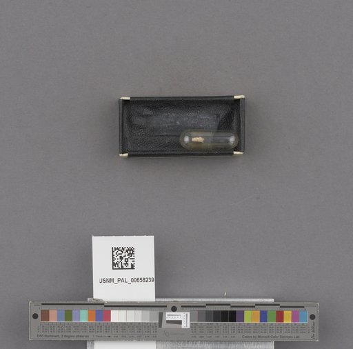 NSF ADBC EPICC TCN