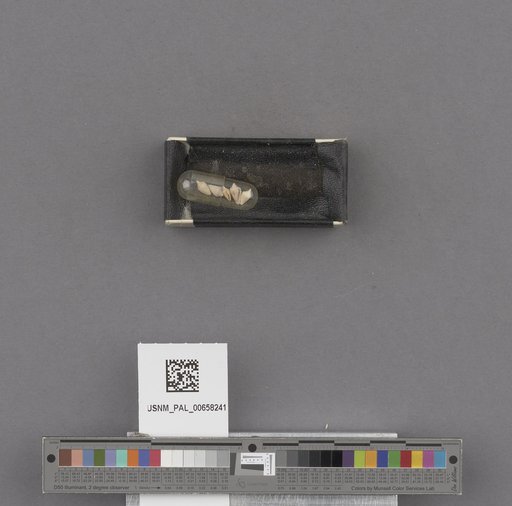 NSF ADBC EPICC TCN
