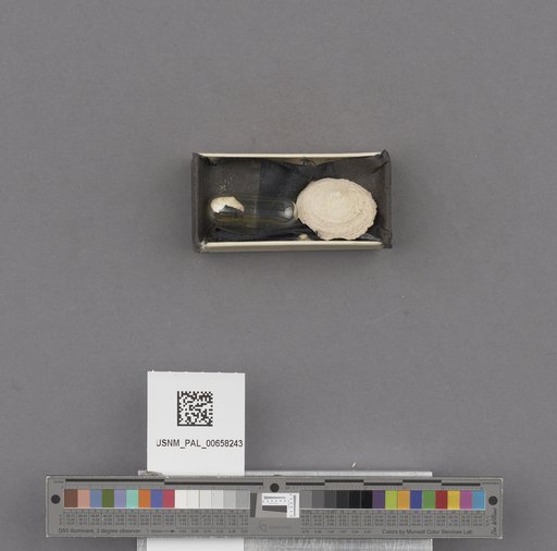 NSF ADBC EPICC TCN