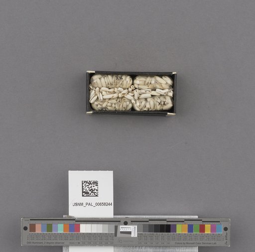 NSF ADBC EPICC TCN
