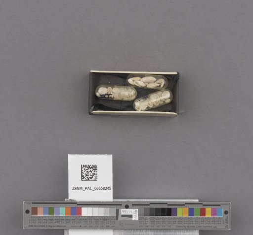 NSF ADBC EPICC TCN