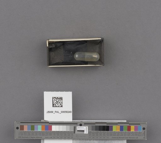 NSF ADBC EPICC TCN