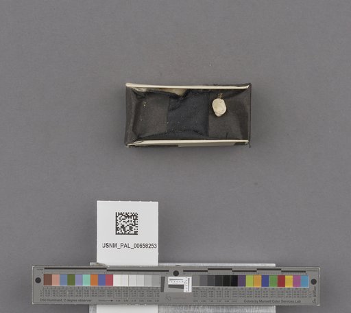NSF ADBC EPICC TCN