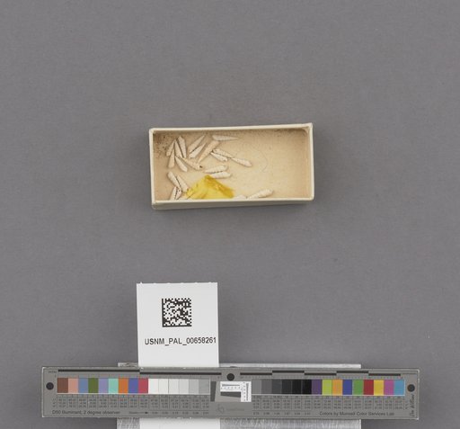 NSF ADBC EPICC TCN
