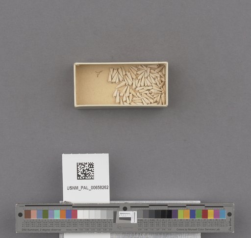 NSF ADBC EPICC TCN