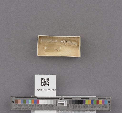 NSF ADBC EPICC TCN