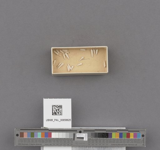 NSF ADBC EPICC TCN