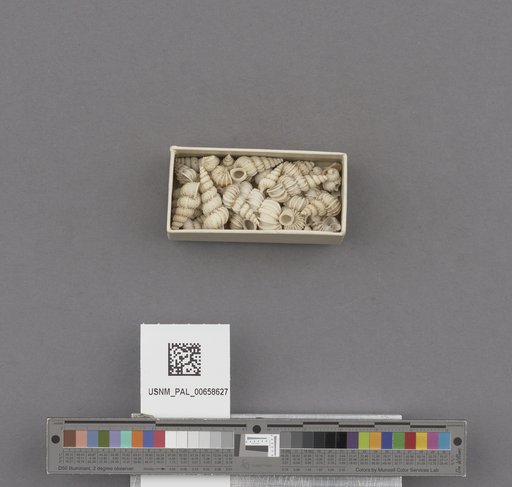 NSF ADBC EPICC TCN
