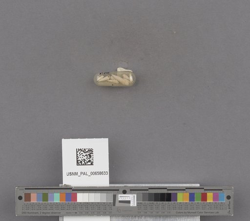 NSF ADBC EPICC TCN