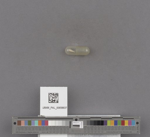 NSF ADBC EPICC TCN