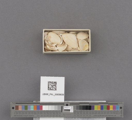 NSF ADBC EPICC TCN