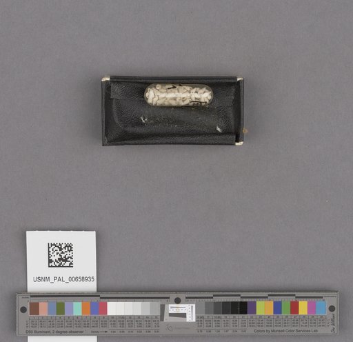 NSF ADBC EPICC TCN