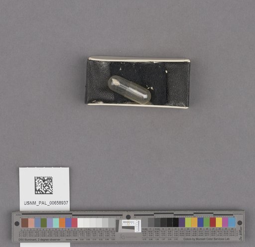 NSF ADBC EPICC TCN