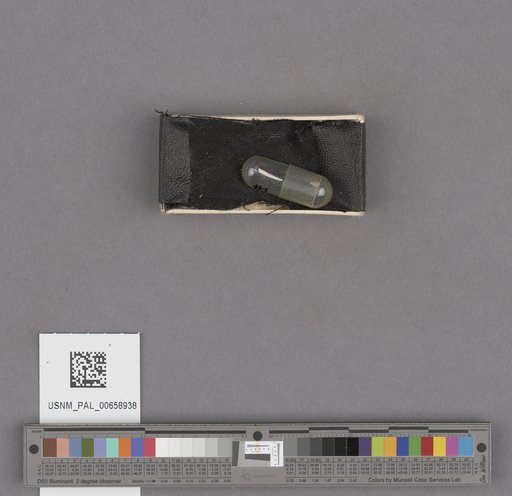 NSF ADBC EPICC TCN