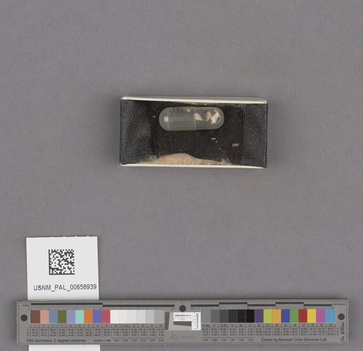 NSF ADBC EPICC TCN