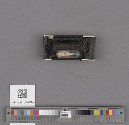 NSF ADBC EPICC TCN