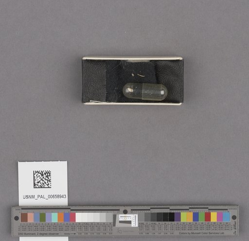NSF ADBC EPICC TCN