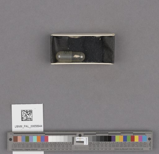 NSF ADBC EPICC TCN