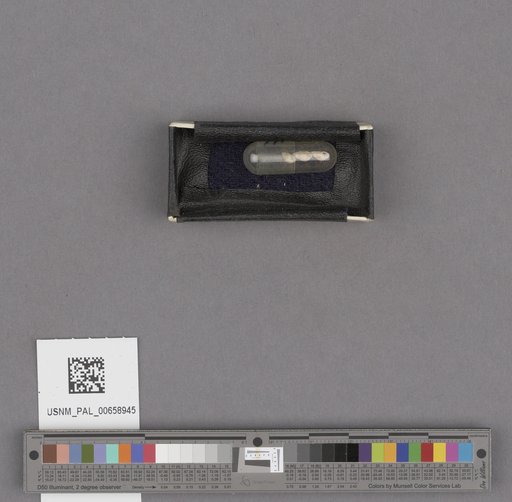 NSF ADBC EPICC TCN