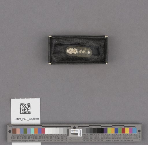 NSF ADBC EPICC TCN