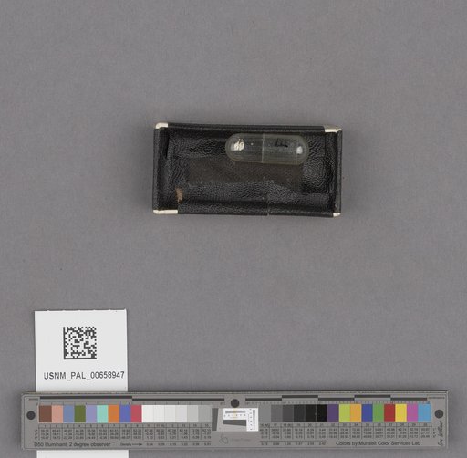 NSF ADBC EPICC TCN